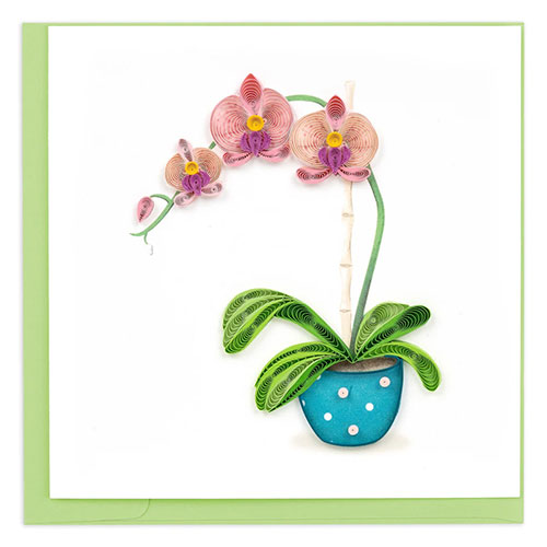 Potted Orchid Card - Click Image to Close