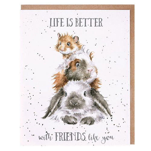 Life Is Better With Friends Like You Card (Rabbit, Guinea Pig, Hamster) - Click Image to Close