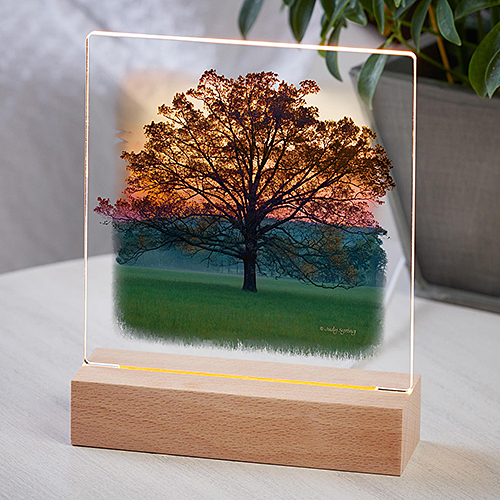 Twilight Tree Acrylic Night Light - Click Image to Close