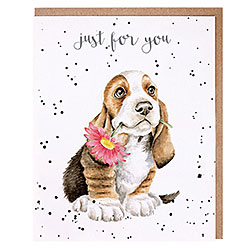 Just For You Card (Bassett Puppy)